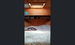Teräsvene Omavalmiste-kuva-14